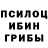 Псилоцибиновые грибы Magic Shrooms Aliysher YUSUPOV