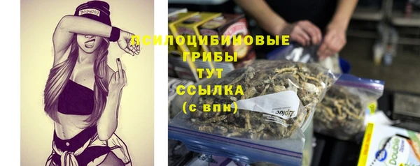 jwh Алзамай