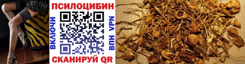 Купить закладки  Городище  Галлюциногенные грибы Magic Shrooms 